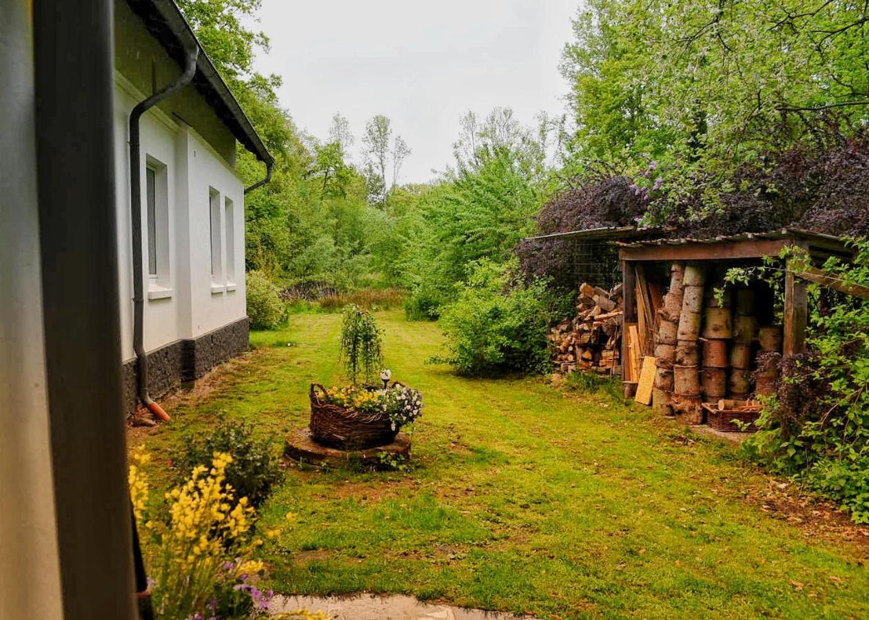 Wohnung Am Wasser Witzeeze Kültér fotó